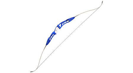 купите Классический лук Bowmaster Expert - Energy синий (Боумастер Эксперт Энерджи) в Екатеринбурге