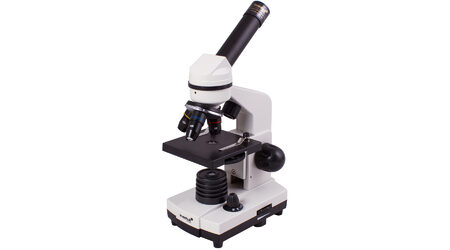 купите Школьный цифровой микроскоп Levenhuk Rainbow D2L 0,3 Мпикс, Moonstone\Лунный камень в Екатеринбурге